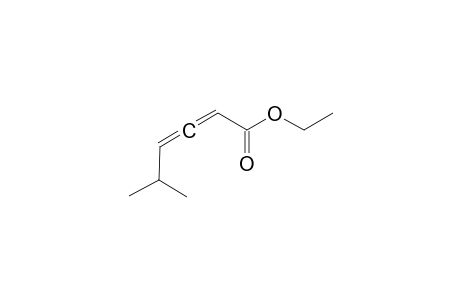 Ethyl 5-methylhexa-2,3-dienoate