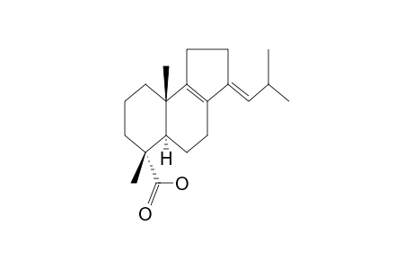 (3E,5aR,6R,9aS)-6,9a-dimethyl-3-(2-methylpropylidene)-1,2,4,5,5a,7,8,9-octahydrobenzo[g]indene-6-carboxylic acid