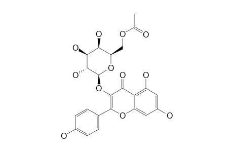 KAEMPFEROL-3-O-(6''-ACETYL)-BETA-D-GALACTOPYRANOSIDE