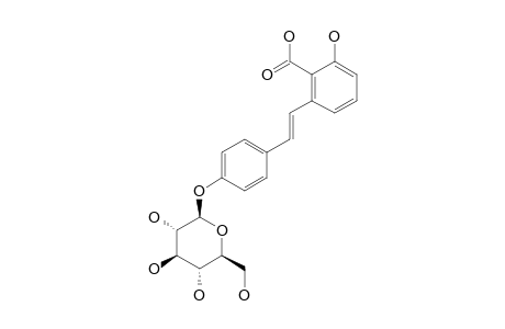 HYDRANGEIC_ACID_4'-O-BETA-D-GLUCOPYRANOSIDE
