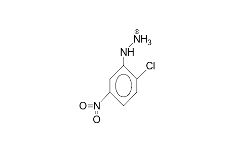 2-Chloro-5-nitro-phenylhydrazinium cation
