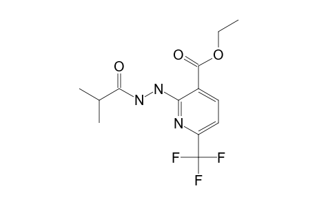 2-ISOPROPYL-CARBONYL-HYDRAZINO-3-ETHOXY-CARBONYL-6-TRIFLUOROMETHYL-PYRIDINE