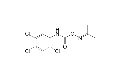 acetone, O-[(2,4,5-trichlorophenyl)carbamoyl]oxime