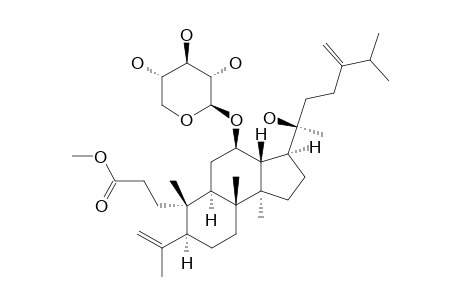ALNUSTIC-ACID-12-O-BETA-D-XYLOPYRANOSIDE