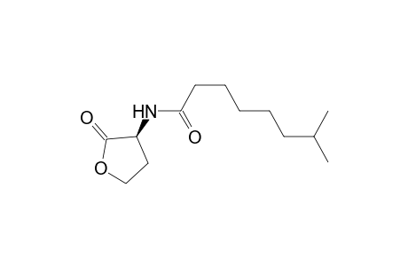 N-(7-Methyloctanoyl)-L-homoserine lactone