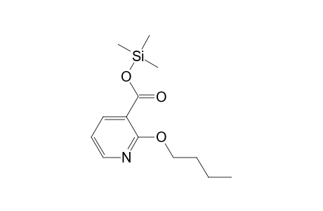 2-Butoxy-3-pyridinecarboxylic acid trimethylsilyl ester