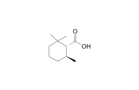 (1R,6S)-2,2,6-Trimethylcyclohexylcarboxylic acid