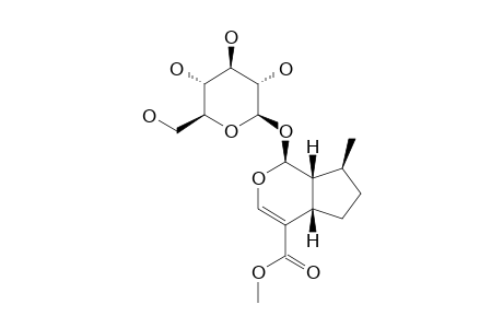 7-DEOXY-LOGANIN