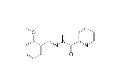 2-pyridinecarboxylic acid, 2-[(E)-(2-ethoxyphenyl)methylidene]hydrazide