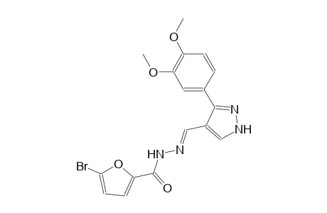 5-bromo-N'-{(E)-[3-(3,4-dimethoxyphenyl)-1H-pyrazol-4-yl]methylidene}-2-furohydrazide