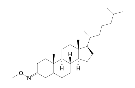 Cholestan-3-one, O-methyl oxime