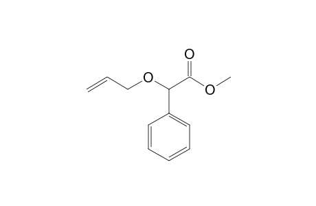 2-allyloxy-2-phenyl-acetic acid methyl ester