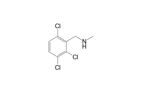Benzylamine, 2,3,6-trichloro-N-methyl-