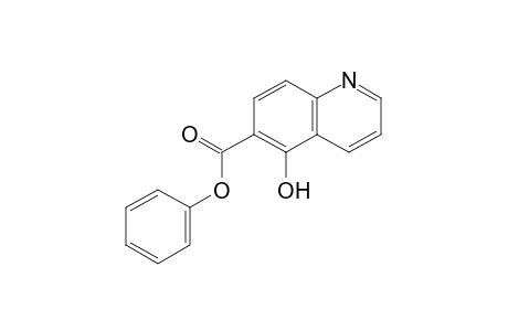 6-Quinolinecarboxylic acid, 5-hydroxy-, phenyl ester