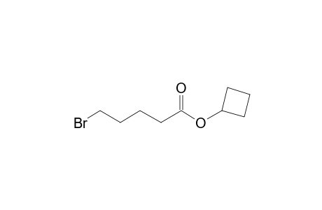 5-Bromovaleric acid, cyclobutyl ester