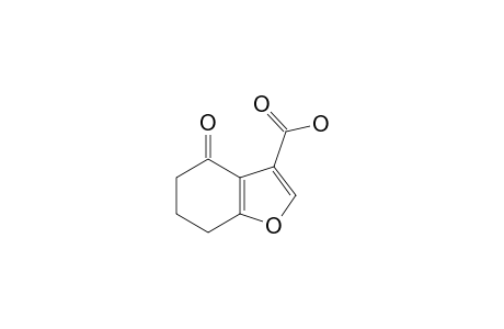4,5,6,7-TETRAHYDRO-4-OXO-BENZOFURAN-3-CARBOXYLIC-ACID