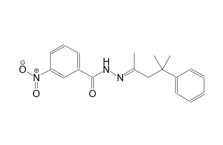 N'-[(E)-1,3-dimethyl-3-phenylbutylidene]-3-nitrobenzohydrazide