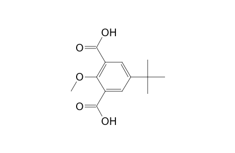 5-(t-Butyl)-2-methoxyisophthalic acid