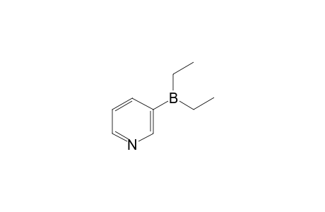 diethyl-pyridin-3-ylborane