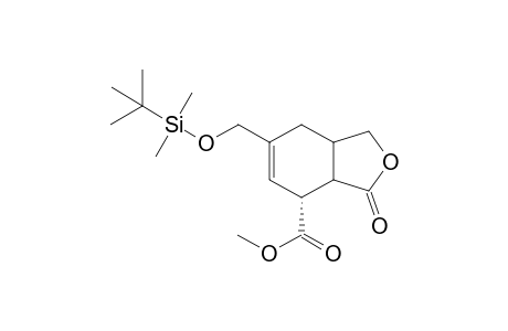 Methyl (7R))-1-oxo-5-[(t-butyldimethylsilyl)oxymethyl]-(hexahydro)-isobenzofuran-7-carboxylate