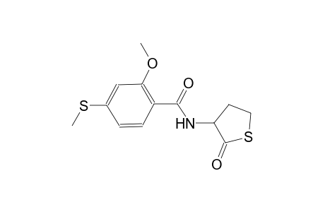 2-methoxy-4-(methylsulfanyl)-N-(2-oxotetrahydro-3-thienyl)benzamide