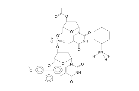 3'-O-ACETYL-5'-(5'-O-METHOXYTRITYLDEOXYTHYMID-3'-YLOXYPHOSPHORYL)DEOXYTHYMIDINE, CYCLOHEXYLAMMONIUM SALT
