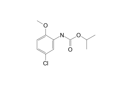 Isopropyl N-(2-methoxy-5-chlorophenyl)carbamate