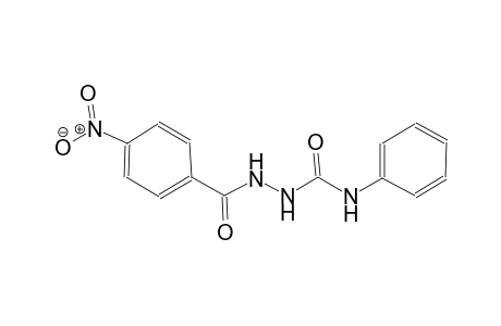 benzoic acid, 4-nitro-, 2-[(phenylamino)carbonyl]hydrazide