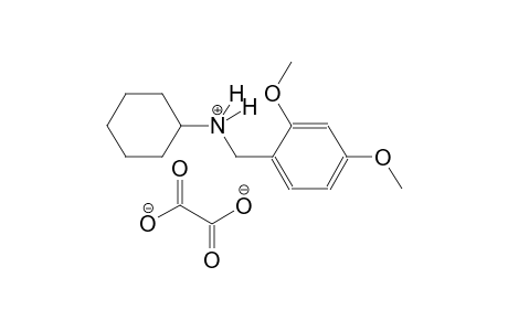 N-(2,4-dimethoxybenzyl)cyclohexanaminium oxalate