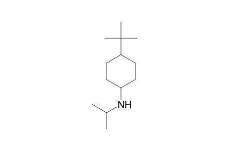 4-tert-Butyl-N-isopropylcyclohexylamine