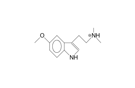 5-Methoxy-N,N-dimethyl-tryptammonium cation