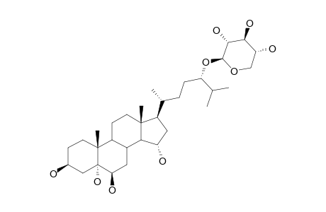 RATHBUNIOSIDE-R2;24(S)-24-O-(BETA-D-XYLOPYRANOSYL)-5-ALPHA-CHOLESTANE-3-BETA,5,6-BETA,15-ALPHA,24-PENTAOL