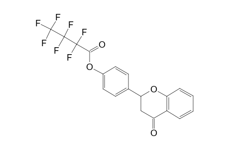 4'-Hydroxyflavanone, heptafluorobutyrate