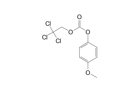 Carbonic acid, 2,2,2-trichloroethyl 4-methoxyphenyl ester