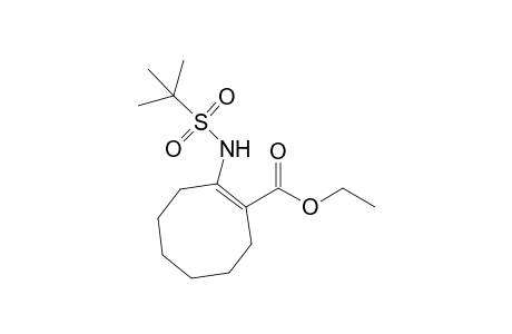 1-[(tert-Butylsulfonyl)amino]-2-carboethoxycyclooctene