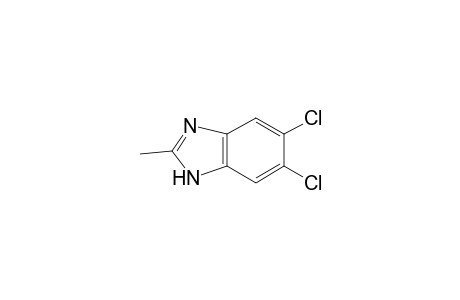 5,6-Dichloro-2-methyl-1H-benzimidazole