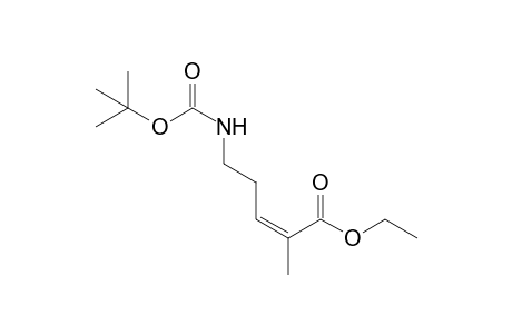 (Z)-2-methyl-5-[[(2-methylpropan-2-yl)oxy-oxomethyl]amino]-2-pentenoic acid ethyl ester