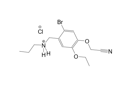 N-[2-bromo-4-(cyanomethoxy)-5-ethoxybenzyl]-1-propanaminium chloride