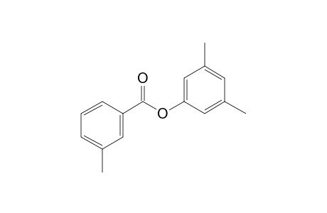 m-Toluic acid, 3,5-dimethylphenyl ester