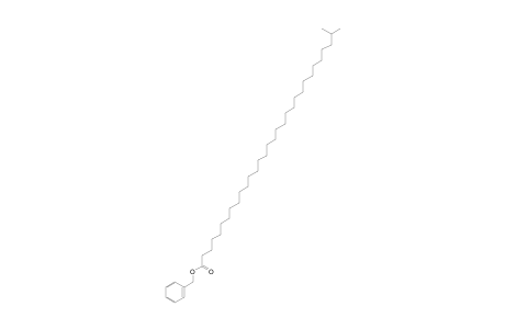 Benzyl 30-methylhentriacontanoate