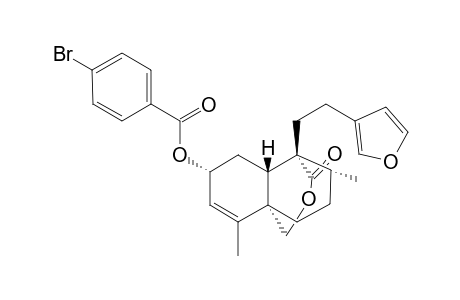 2-(p-Bromobenzoyloxy)-5,8-(carbonyloxymethano)cajucarin A