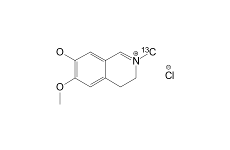 N-(13)-C-METHYL-3,4-DIHYDRO-6-METHOXYISOQUINOLINIUM_CHLORIDE
