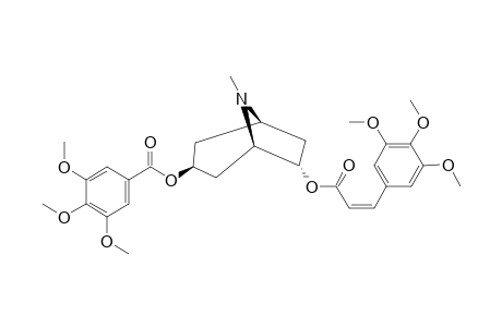 CIS-PERVILLEINE_B;3-ALPHA-(3,4,5-TRIMETHOXYBENYLOXY)-6-BETA-(Z)-(3,4,5-TRIMETHOXYCINNAMOYLOXY)-TROPANE