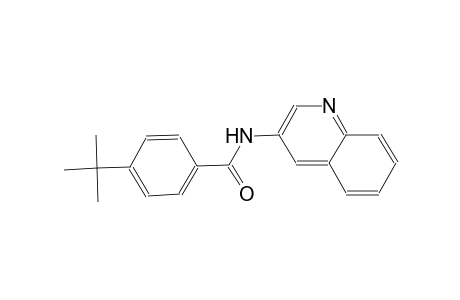 benzamide, 4-(1,1-dimethylethyl)-N-(3-quinolinyl)-