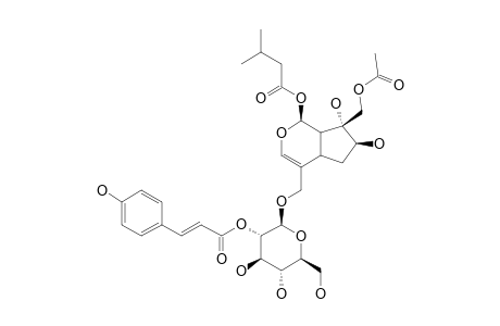 VIBRUTINOSIDE-II