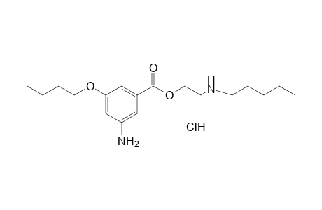 3-AMINO-5-BUTOXYBENZOIC ACID, 2-(PENTYLAMINO)ETHYL ESTER, MONOHYDROCHLORIDE