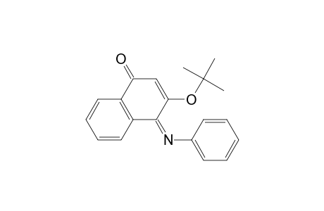 1(4H)-Naphthalenone, 3-(1,1-dimethylethoxy)-4-(phenylimino)-