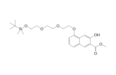 methyl 3-hydroxy-5-(2,2,3,3-tetramethyl-4,7,10-trioxa-3-siladodecan-12-yloxy)-2-naphthoate