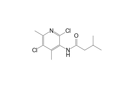 butanamide, N-(2,5-dichloro-4,6-dimethyl-3-pyridinyl)-3-methyl-