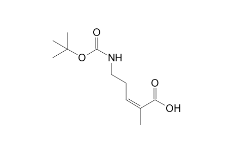 (cis)-5-[(t-Butoxycarbonyl)amino]-2-methyl-2-pentenoic acid